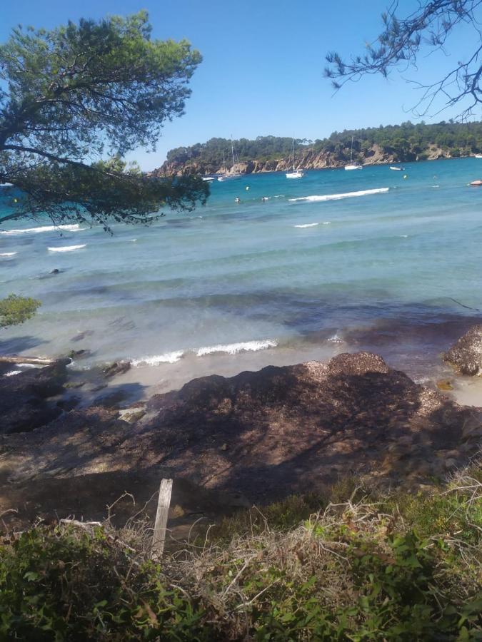 Appartement " Le Grand Bleu " A 3 Min De La Plage La Londe-les-Maures Eksteriør bilde