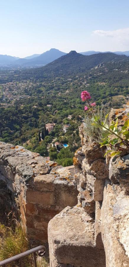 Appartement " Le Grand Bleu " A 3 Min De La Plage La Londe-les-Maures Eksteriør bilde